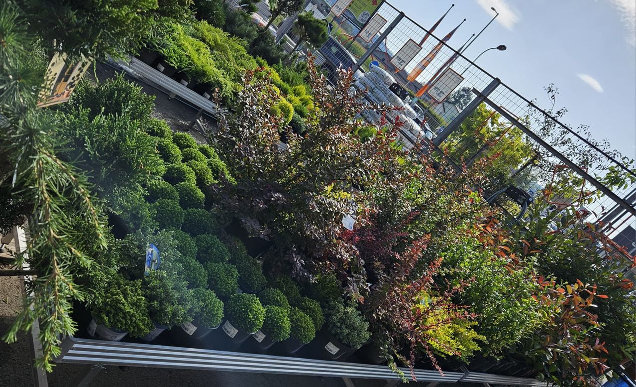 Bild enthält, Garden, Nature, Outdoors, Vegetation, Grass, Park, Tree, Gardening, Potted Plant, Woodland