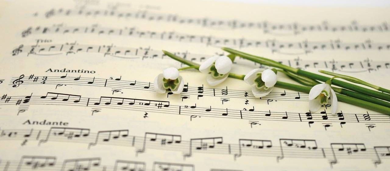 v1_migrated_image_88885762