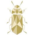 Eine goldene geometrische Illustration eines Käfers mit segmentiertem Körper und Flügeln, vor einem schlichten Hintergrund.