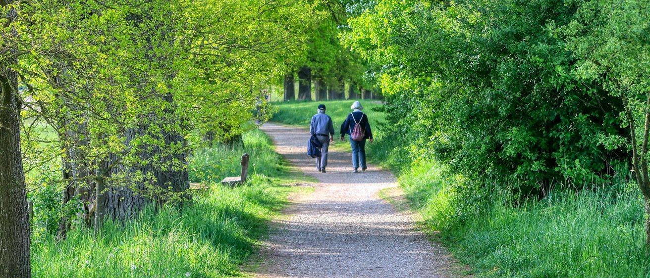 Bild enthält, Path, Walking, Nature, Outdoors, Trail, Vegetation, Tree, Woodland, Park, Hiking