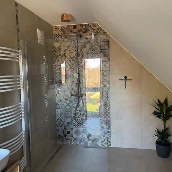 Ein modernes Badezimmer mit einer Glasdusche, gefliesten Wänden und einem Topfplant. Eine Glastür trennt die Dusche vom Rest des Raums.