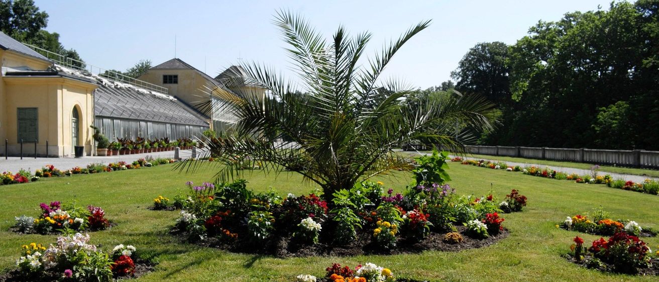 v1_migrated_image_4987413