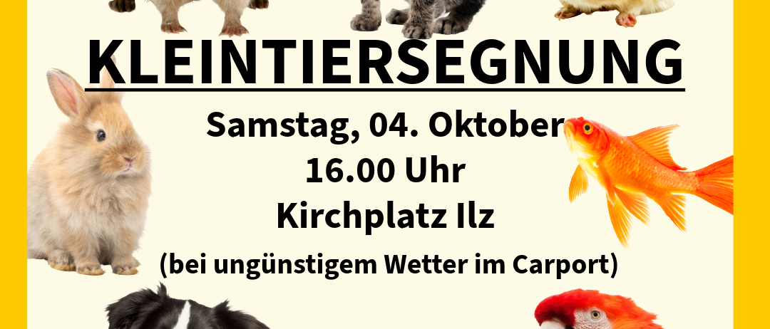 Plakat für eine Kleintiersegnung am Samstag, 04. Oktober um 16:00 Uhr auf dem Kirchplatz in Ilz, mit verschiedenen Haustieren.