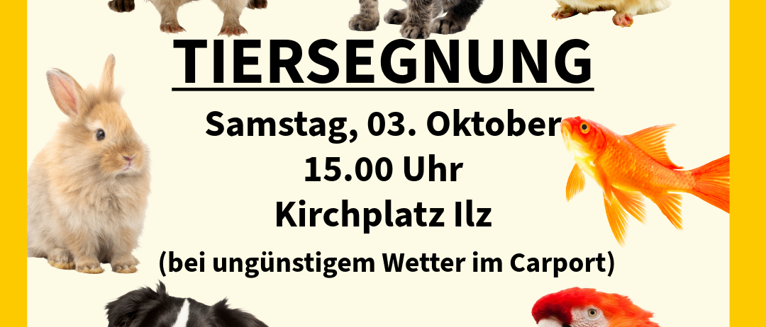 Plakat für eine Tiersegnungsveranstaltung am 3. Oktober um 15 Uhr auf dem Kirchplatz in Iltz, mit verschiedenen Tieren und einem Papagei.