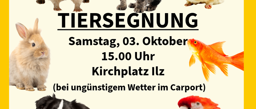 Plakat für eine Tiersegnungsveranstaltung am 3. Oktober um 15 Uhr auf dem Kirchplatz in Iltz, mit verschiedenen Tieren und einem Papagei.