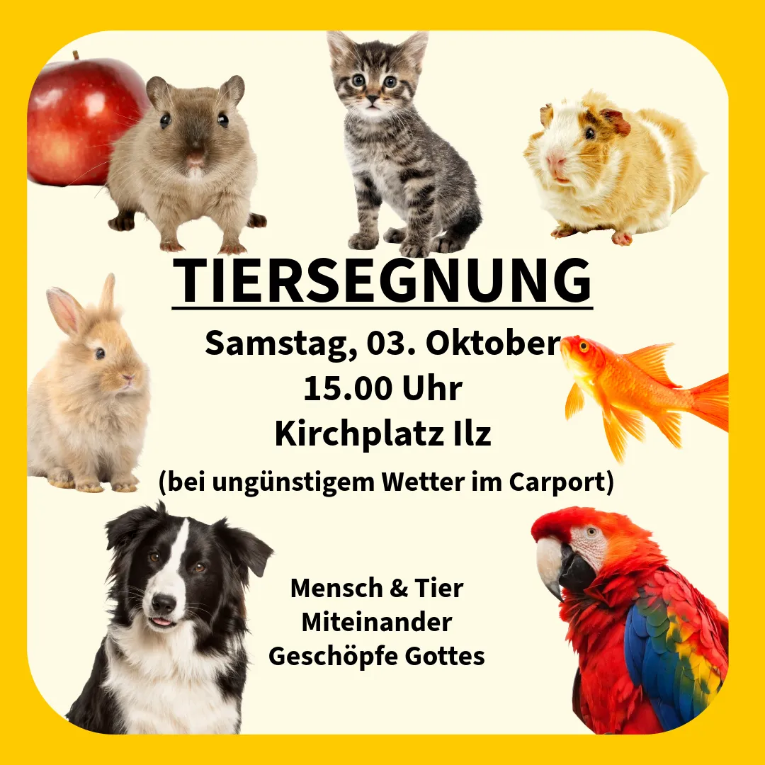Plakat mit verschiedenen Tieren wie Katze, Kaninchen, Meerschweinchen, Papagei und Hund. Die Veranstaltung heißt 'TIERSEGNUNG' und ist für Samstag, 3. Oktober um 15 Uhr geplant.