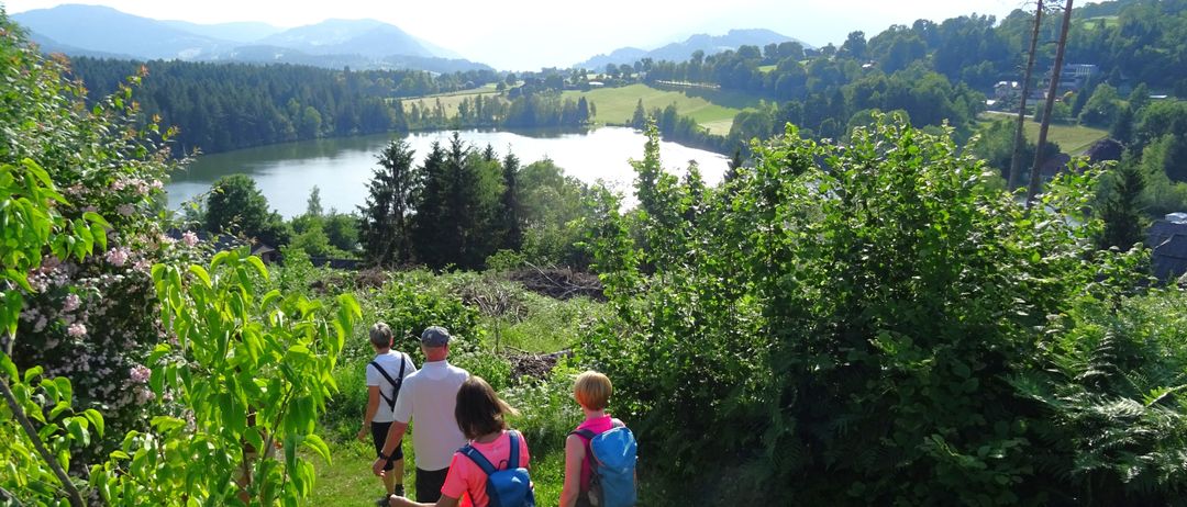 Vier Personen wandern auf einem grasbewachsenen Hügel mit einem See und Bergen im Hintergrund. Sie tragen Rucksäcke und scheinen die Aussicht zu genießen.