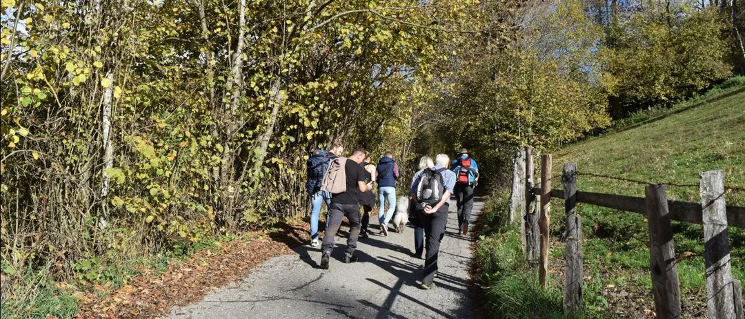 Person, Walking, Path, Hiking, Nature, Outdoors, Vegetation, Trail, Woodland, Jeans