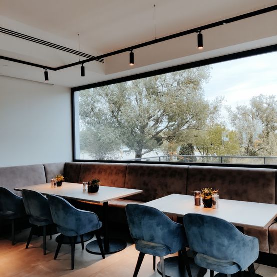 Ein modernes Innenrestaurant verfügt über ein großes Fenster mit Blick auf Bäume draußen. Es hat weiße Tische mit blauen Stühlen und Pflanzen oben. Die Wände sind weiß und die Decke hat schwarze Lampen.