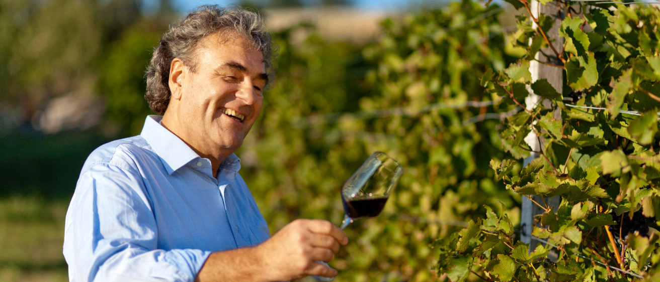 Ein lächelnder Mann in einem blauen Hemd hält ein Glas Rotwein in einem Weinberg.