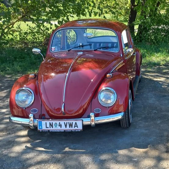 VW Käfer 1500, BJ 1967