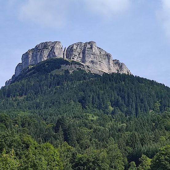 Ein Berg mit einer rauen Spitze und einem dichten Wald aus grünen Bäumen bedeckt seine Hänge unter einem teilweise bewölkten Himmel.