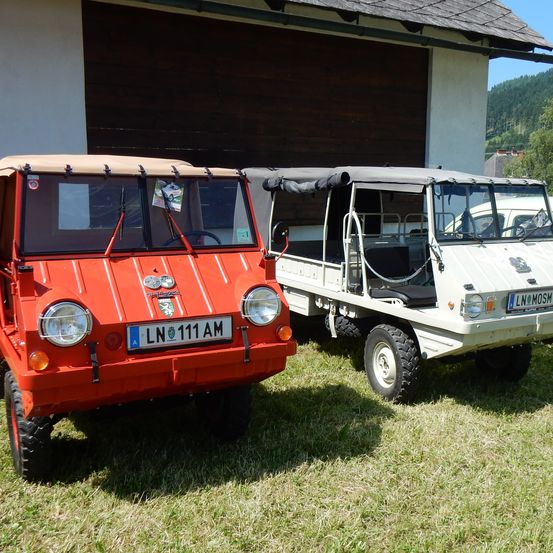 Zwei Oldtimer, einer rot und einer weiß, auf Gras vor einer Garage mit Bergkulisse geparkt.