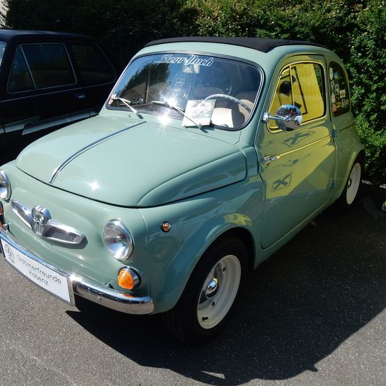 Ein mintgrüner Vintage Fiat 500 mit schwarzem Dach steht auf einem gepflasterten Weg in der Nähe eines Busches.