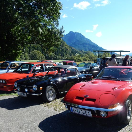 Ein rotes und schwarzes Auto ist unter einem Baum geparkt. Ein rotes Auto ist dahinter geparkt. Ein Baldachin ist in der Nähe der Autos. Berge sind im Hintergrund.