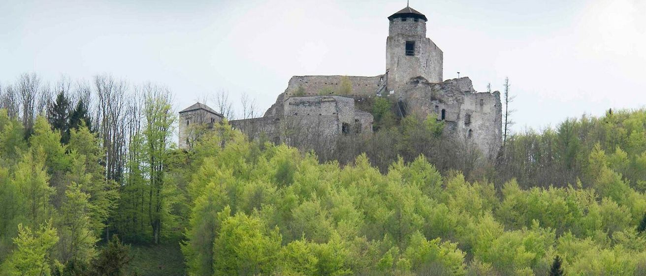 Eine alte Burg mit einem hohen Turm steht auf einem bewaldeten Hügel unter einem grauen Himmel, umgeben von üppiger Grünfläche.