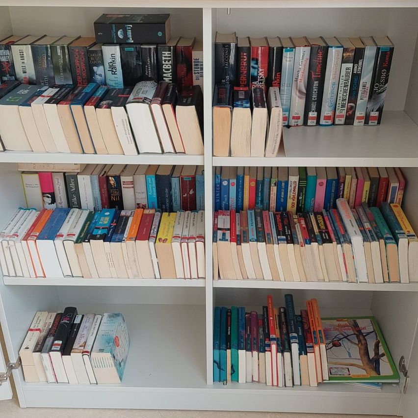 Ein Bücherregal mit einer Vielzahl von Büchern, darunter einige mit Titeln in Fremdsprachen, in mehreren Reihen angeordnet.