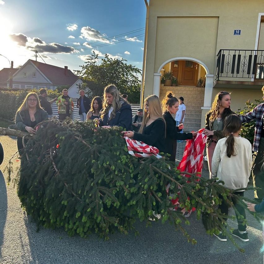 A group of people gathered in front of a house to cut down a large Christmas tree. They are holding red and white cloths.