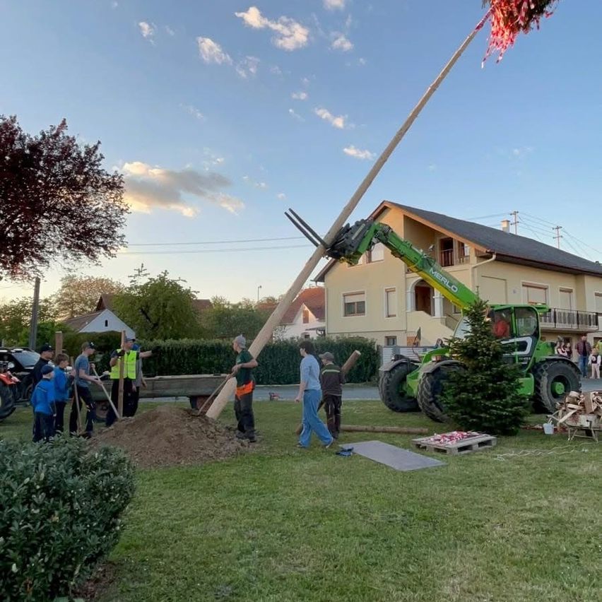 A group of people are planting a tree using a large crane, with a house and parked vehicles in the background.