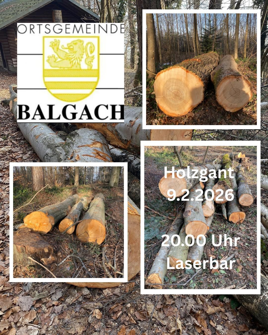 Eine Collage von Bildern zeigt das Logo von Balgach, eine Waldlichtung und gestapelte Baumstämme. Der Text gibt eine Holzlieferung am 9.2.2026 um 20:00 Uhr an.