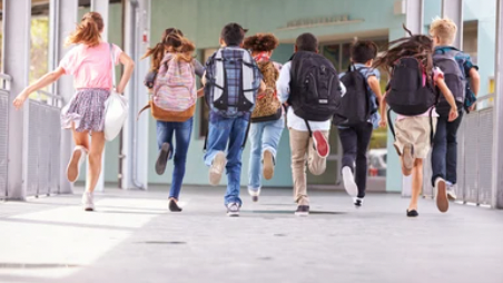 v1_migrated_image_97451661