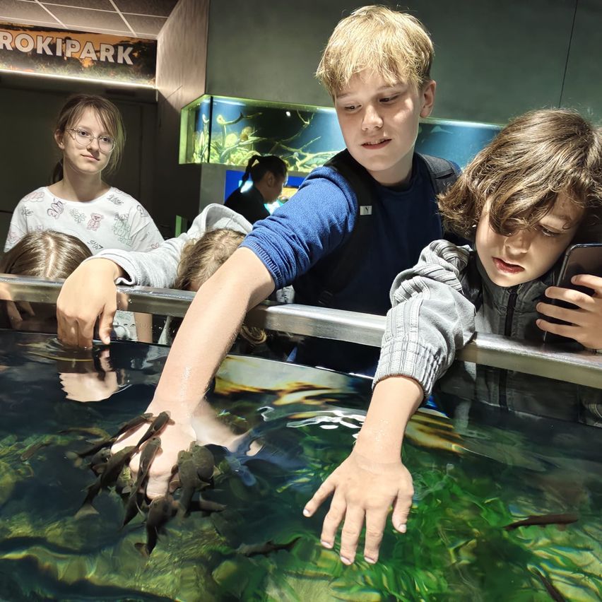 A group of children in a zoo looking at and touching fish in a large tank.