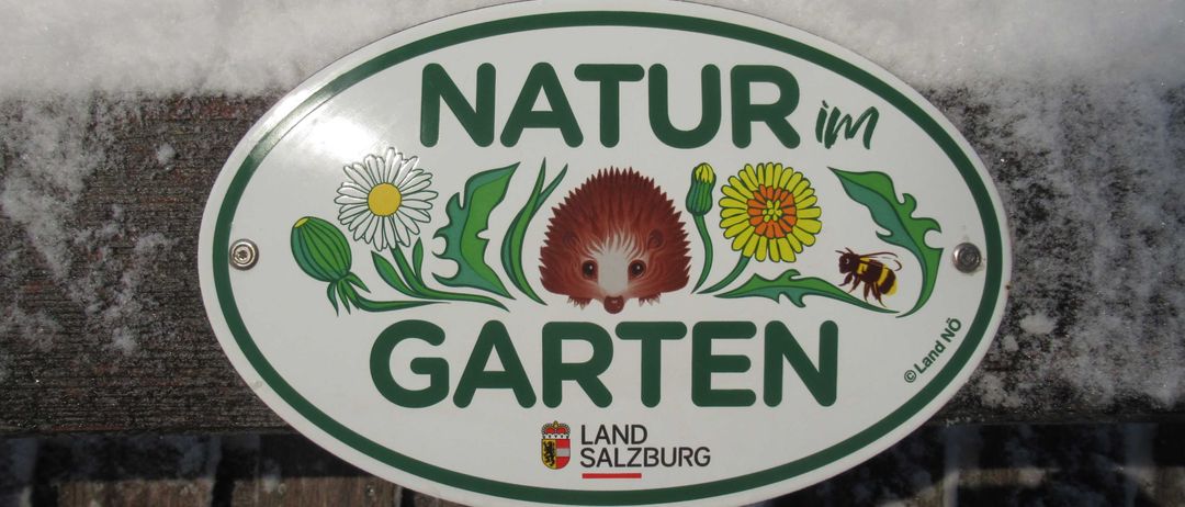 Logo, Outdoors, Nature, Ice Hockey Puck