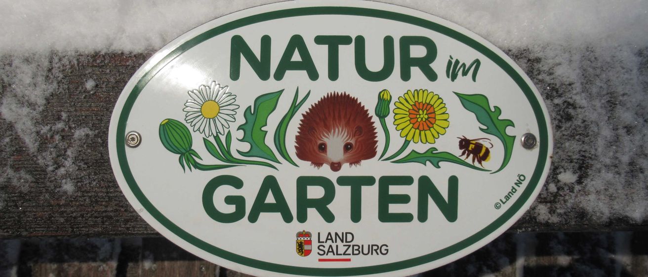 Logo, Outdoors, Nature, Ice Hockey Puck