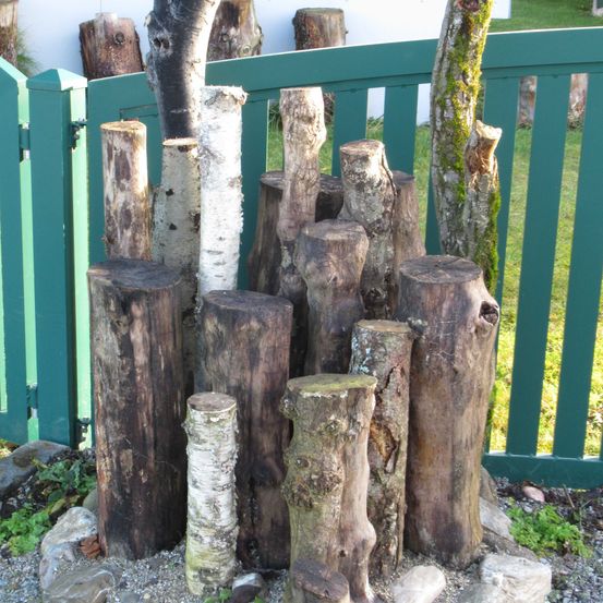 Plant, Tree, Tree Stump, Wood, Person