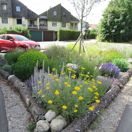 Garden, Nature, Outdoors, Car, Neighborhood, Spoke, Road, Alloy Wheel, Slate, Flower