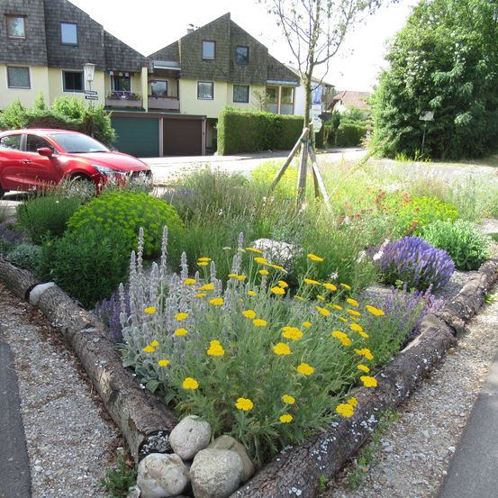 Garden, Nature, Outdoors, Car, Neighborhood, Spoke, Road, Alloy Wheel, Slate, Flower
