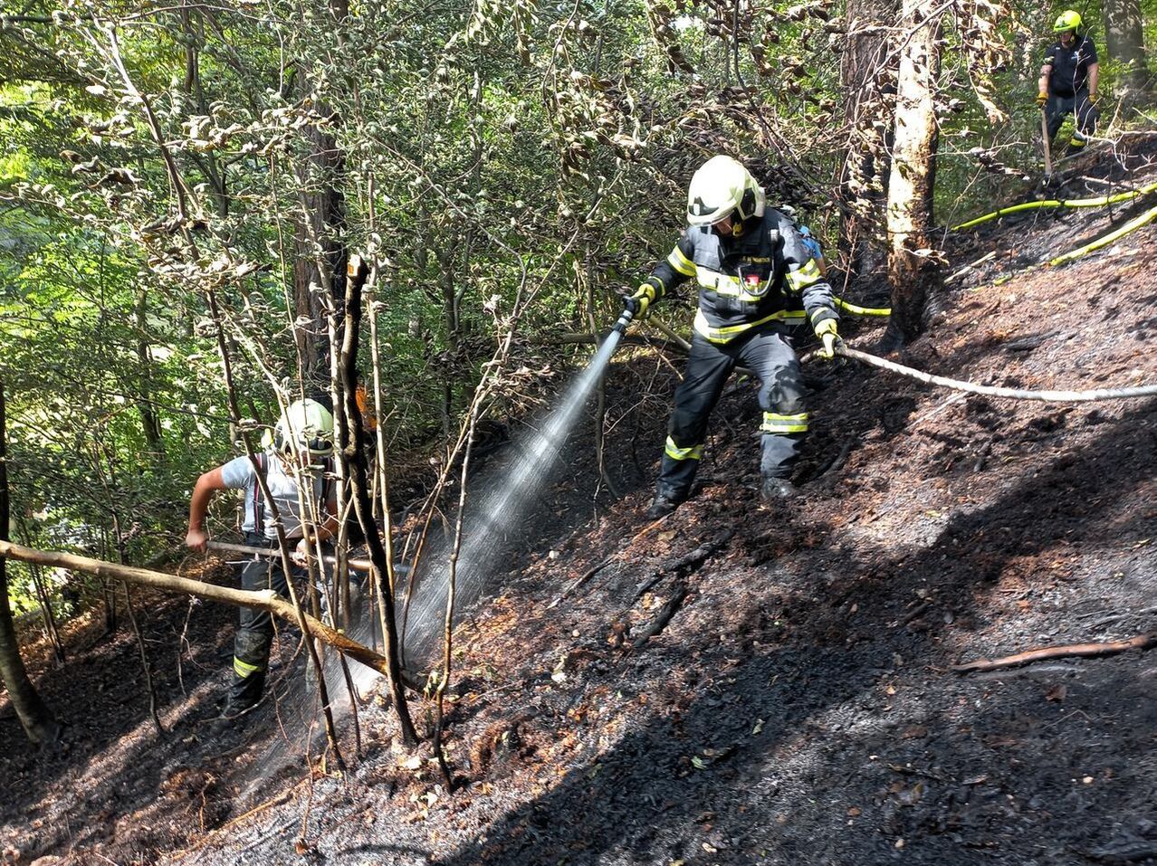 Zwei Feuerwehrleute in voller Ausrüstung befinden sich in einem Wald. Einer sprüht Wasser, während der andere ein Werkzeug hält. Der Boden ist verkohlt und einige Bäume sind verbrannt.