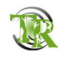 Bild von Dr. Tanja Reichel & Dr. Ulrike Ritter