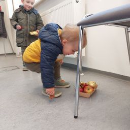 Zwei junge Jungen sind in einem Raum mit Äpfeln und Goldfolie. Ein Junge beugt sich vor, um Essen aufzuheben.