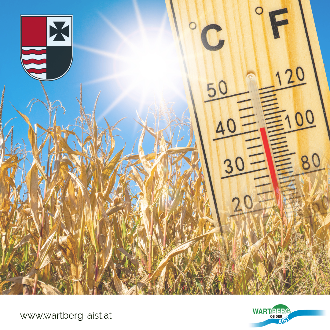 Ein Thermometer, das 120 Grad Fahrenheit anzeigt, ist über einem Maisfeld unter einer strahlenden Sonne platziert. Das Bild zeigt auch ein Logo in der oberen linken Ecke.