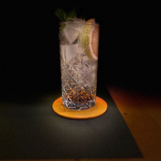 Ein Glas mit klarer Flüssigkeit, verziert mit einer Zitronenscheibe und einem Kräuterzweig, steht auf einem dunklen Hintergrund.