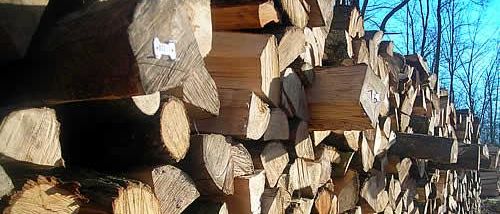 Ein Stapel Holzscheite im Freien gestapelt, einige mit Etiketten, andere ohne. Bäume sind im Hintergrund zu sehen.