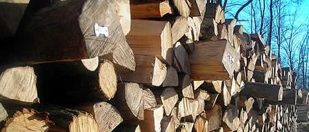 Ein Stapel Holzscheite im Freien gestapelt, einige mit Etiketten, andere ohne. Bäume sind im Hintergrund zu sehen.