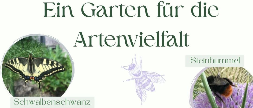 Das Bild bewirbt einen Vortrag von Simone König, einer Landschaftsplanerin, über die Förderung der Artenvielfalt in Gärten. Es zeigt Bilder verschiedener Insekten und Pflanzen, wobei der Text die Bedeutung der Schaffung einer natürlichen Gartenumgebung erklärt. Die Veranstaltung ist für Donnerstag, den 5. März um 19 Uhr in Weiler geplant, mit freiem Eintritt.