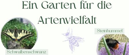 Das Bild bewirbt einen Vortrag von Simone König, einer Landschaftsplanerin, über die Förderung der Artenvielfalt in Gärten. Es zeigt Bilder verschiedener Insekten und Pflanzen, wobei der Text die Bedeutung der Schaffung einer natürlichen Gartenumgebung erklärt. Die Veranstaltung ist für Donnerstag, den 5. März um 19 Uhr in Weiler geplant, mit freiem Eintritt.