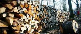 Ein großer Stapel ordentlich gestapelten Brennholzes in einem Wald, mit zwei Personen, die im Hintergrund spazieren.
