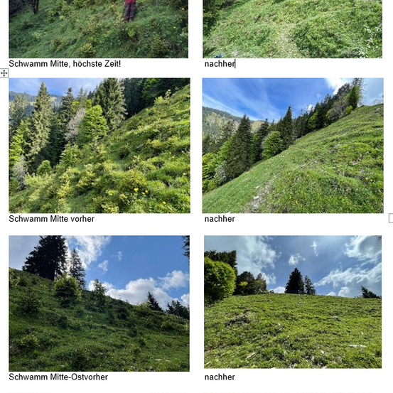 Eine Person in einem roten Shirt und Shorts klettert einen steilen, bewaldeten Hügel. Ein weiteres Bild zeigt einen bewaldeten Hügel unter blauem Himmel.