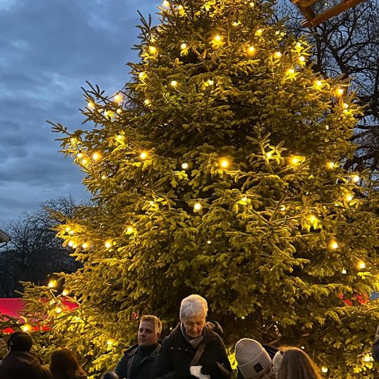 Eine Gruppe von Menschen steht um einen großen, mit gelben Lichtern dekorierten Weihnachtsbaum unter einem bewölkten Himmel.
