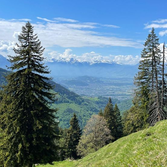 Ein malerisches Panorama eines Bergtals mit hohen Bäumen, einem grasigen Hügel und einer entfernten Stadt unter einem teilweise bewölkten Himmel.
