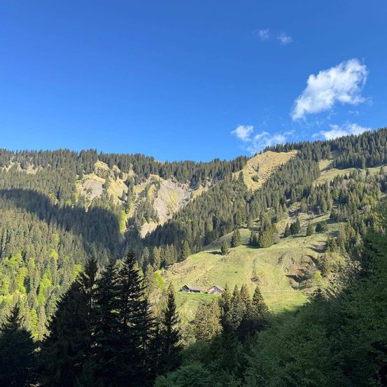 Ein Panoramablick auf einen bewaldeten Berghang unter blauem Himmel mit einem kleinen Haus im Tal.