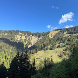Ein Panoramablick auf einen bewaldeten Berghang unter blauem Himmel mit einem kleinen Haus im Tal.