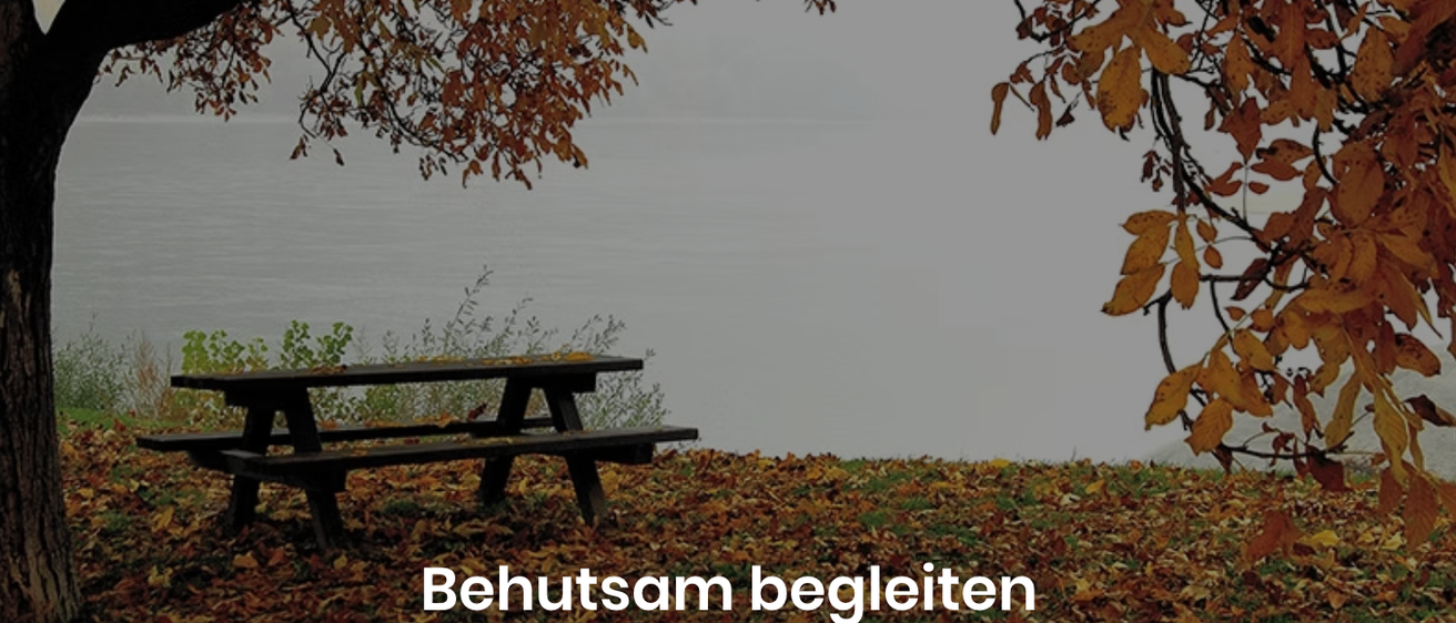 Ein hölzerner Picknicktisch mit Bänken steht unter einem Baum mit goldenen Blättern. Die Blätter fallen auf den Rasen. Der Baum befindet sich am Rande eines Gewässers. Der Himmel ist weiß und bewölkt.