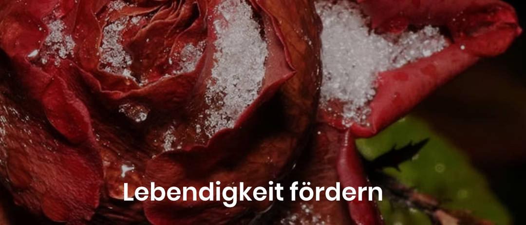Ein Nahaufnahme einer dunkelroten Rose mit einer Streuung weißer Kristalle. Die Blütenblätter sind geschichtet und leicht gewellt. Das Bild hat einen leichten Unschärfeeffekt. Der Text 'Lebendigkeit fördern' ist unten angezeigt.