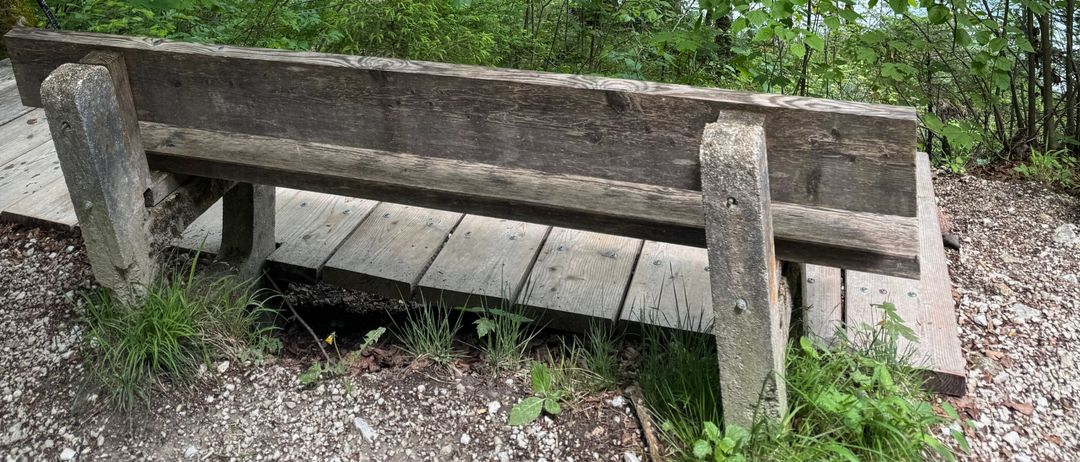 Eine Holzbank bietet einen Blick auf einen ruhigen See, umgeben von dichtem grünem Laub. Der See spiegelt das üppige Grün wider und schafft eine friedliche und natürliche Szenerie.