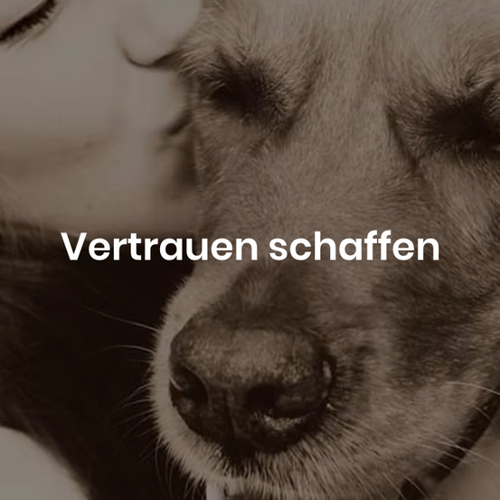 A woman is kissing a dog's nose, the dog's eyes are closed. The words Vertrauen schaffen are written on the image.
